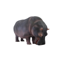 hipopótamo 3d isolado png