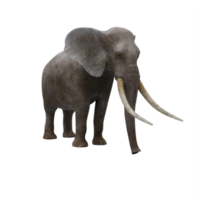 3D-Elefant isoliert png