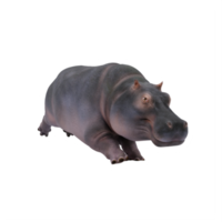 3d nijlpaard geïsoleerd png