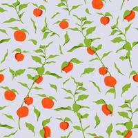 Physalis branch, berries and leaves seamless pattern. Hand drawn floral illustration. Home decor concept. Modern flat drawing for logo, pattern, web and app design. vector