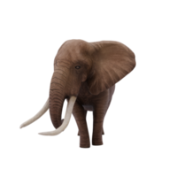 elefante africano 3d aislado png