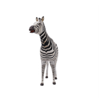 3D-afrikanisches Zebra isoliert png