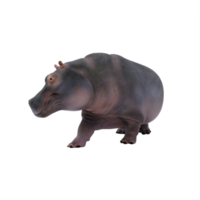 hipopótamo 3d aislado png