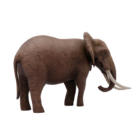 3D-afrikanischer Elefant isoliert png