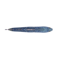 poisson coelacant 3d png