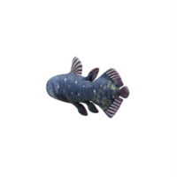 3d Coelacant Fish png