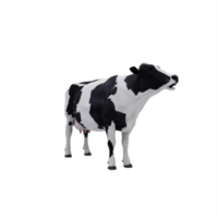 3d cow isolated png
