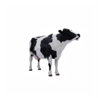 vache 3d isolée png