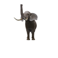 elefante 3d aislado png