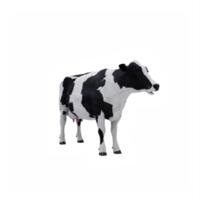 3d mucca isolato png