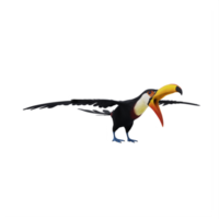 3d toucan bird isolated png