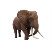 éléphant d'afrique 3d isolé png