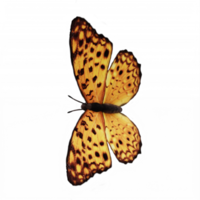 3d Butterfly isolated png