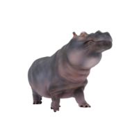 hippopotame 3d isolé png