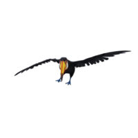 oiseau toucan 3d isolé png