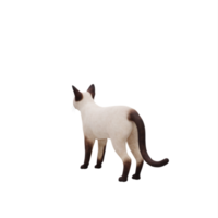chat siamois 3d isolé png