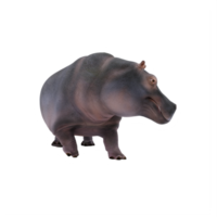 hipopótamo 3d isolado png