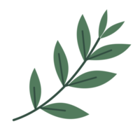 hojas verdes simples para elemento de diseño romántico png