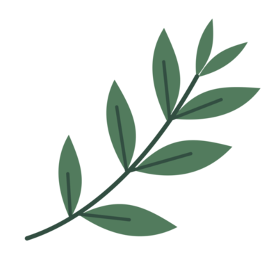 Green Tea PNGs for Free Download