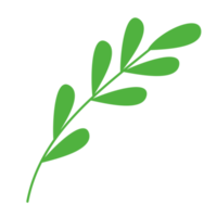 simple green leaves for design element png