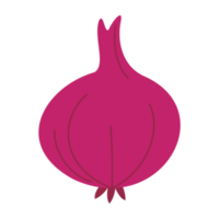 röd lök illustration png