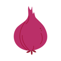 ilustración de cebolla roja png