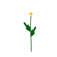 illustration de fleur simple isolée png