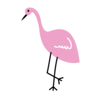 illustration of a cute flamingo png