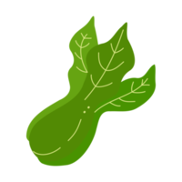ilustración vegetal mostaza png