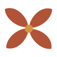 illustration d'une fleur png