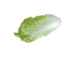 side view of lettuce on transparent background png