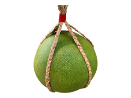 pomelo Aan een transparant achtergrond png