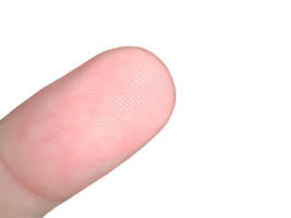 Closeup of fingerprint texture of finger skin on transparent background png