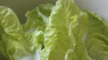 Fresh green lettuce in a salad bowl isolated on yellow background video