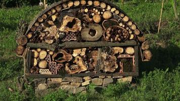 Bee and insect house made from natural materiels. video