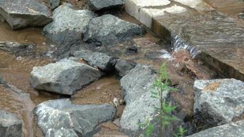 Flowing mountain stream with transparent water and stones on bottom video