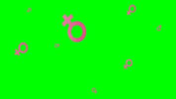 kvinna dag symbol animering 4k grön skärm video