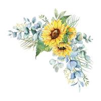 Watercolor sunflowers bouquet, hand painted sunflower bouquets with greenery, sunfower flower arrangement. Wedding invitation clipart elements. Watercolor floral. Botanical Drawing. White background. vector