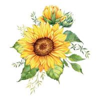 Watercolor sunflowers bouquet, hand painted sunflower bouquets with greenery, sunfower flower arrangement. Wedding invitation clipart elements. Watercolor floral. Botanical Drawing. White background. vector
