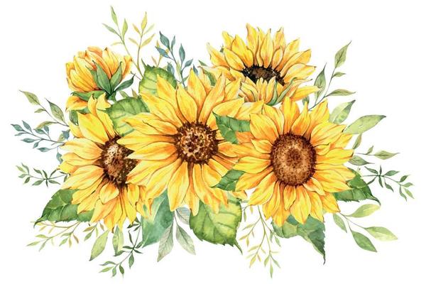 Wedding Flowers Vector Art, Icons, and Graphics for Free Download