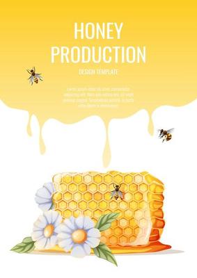 Flyer design, advertising banner with bee honeycomb.  Honey shop, healthy and sweet products. Vector illustration of poster in a4 size for flyer, banner, postcard, poster, etc.