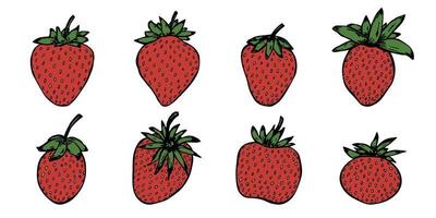 Vector set of strawberry clipart. Hand drawn berry icon. Fruit illustration. For print, web, design, decor, logo.