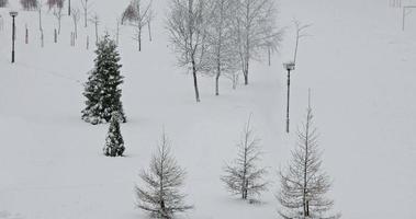 queda de neve com vista para um campo com lanternas e árvores solitárias video