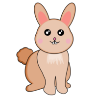 brown rabbit bunny png