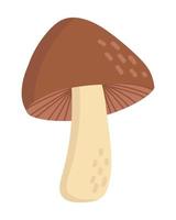 Doodle flat clipart. Edible brown mushroom. All objects are repainted. vector