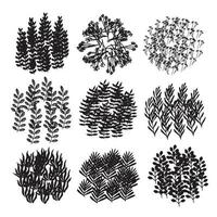 Vector Collection Black Paint Ink Strokes Splatter Brush Nature Plants Trees Flowers Background Floral Texture Dandelions Leaves Art Design Patterns Vector Illustration Isolated on White Background