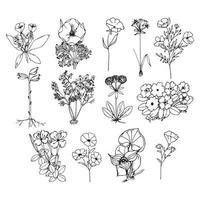 conjunto de contornos de flores gráficos vectoriales dibujo de flores contorno de boceto colección de botánica floral dibujos de flores en blanco y negro con arte lineal aislado en fondo blanco vector