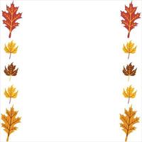 Autumn Leaves Background vector