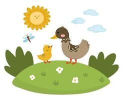 pato vectorial con patito bebé en el césped bajo el sol. ilustración de escena familiar de dibujos animados lindo para niños. aves de granja en el fondo de la naturaleza. imagen colorida de animales de madre y bebé para niños vector