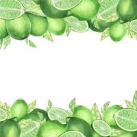 Watercolor frame made of limes, slice of lime, branches and leaves. Hand drawn vignette for cards, invitations, cosmetics or food label design concept, with text space vector